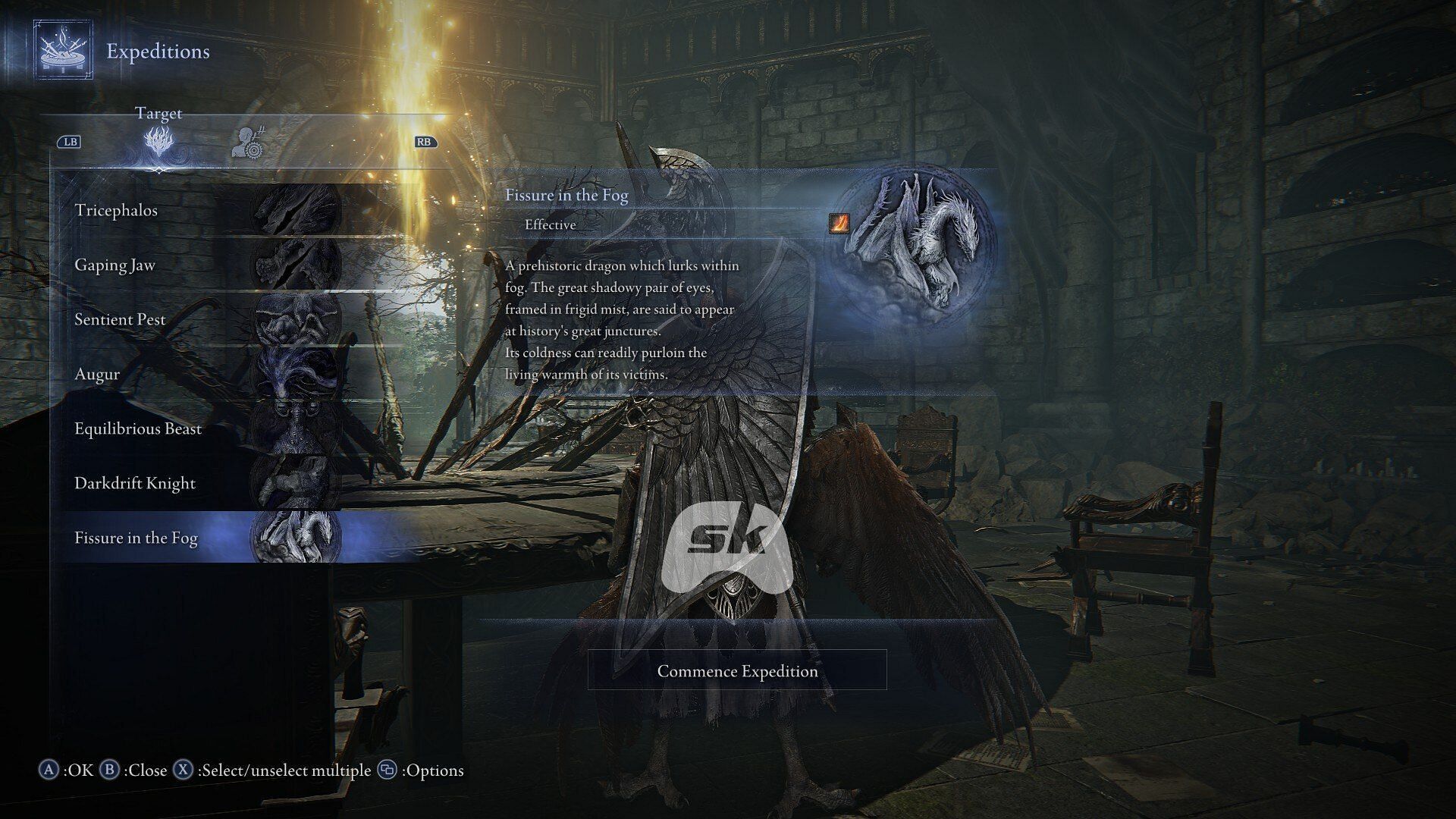 The Commence Expedition menu (Image via Sportskeeda Gaming || FromSoftware/Bandai Namco Entertainment)